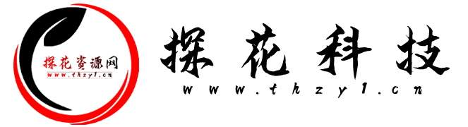 探花游戏资源网