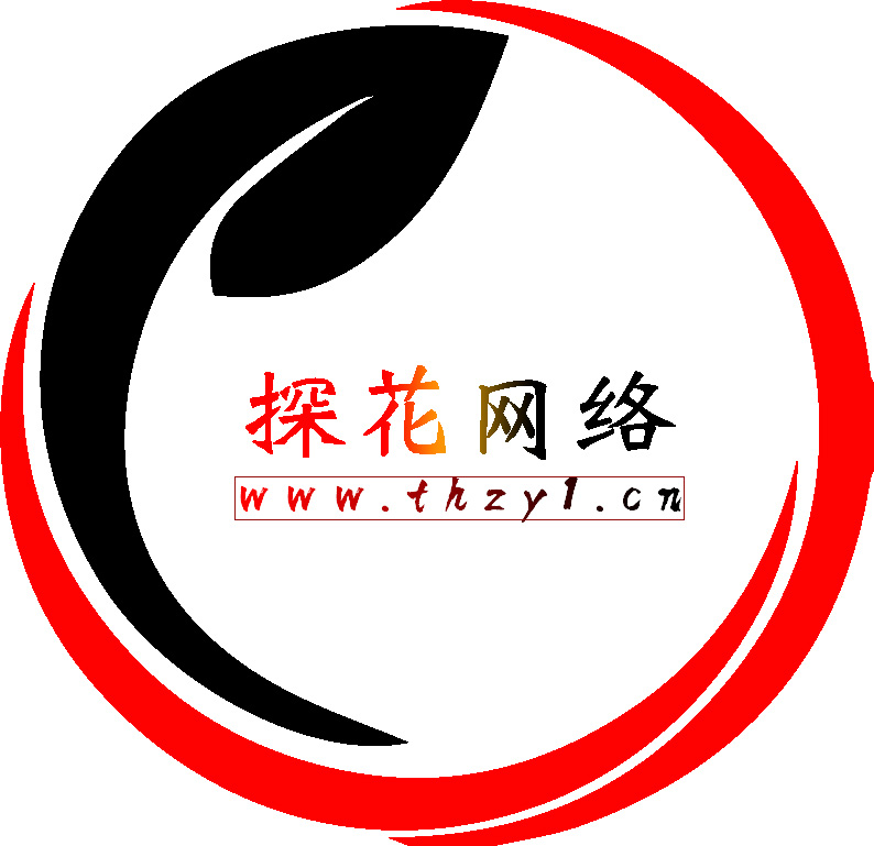 探花的头像-探花网络技术空间